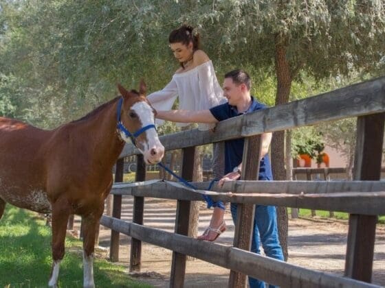 Meliã Desert Palm Dubai