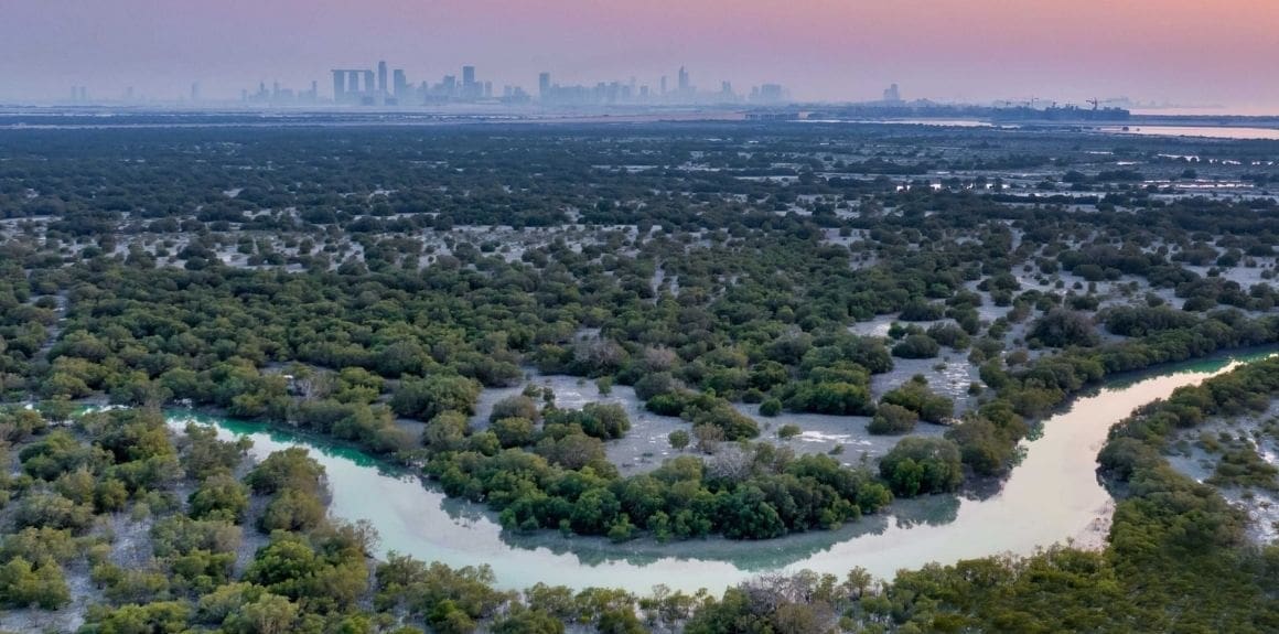 Pura Eco Retreat - Jubail Island Abu Dhabi