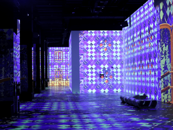 Infinity des Lumières Raise Vibration