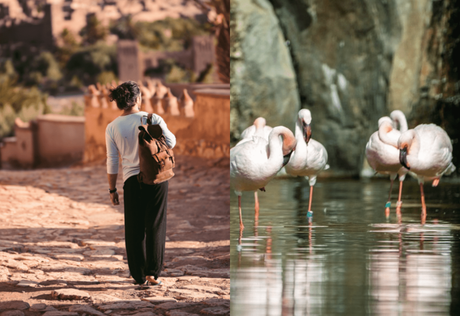 The Lux Collective - LUX Al Bridi