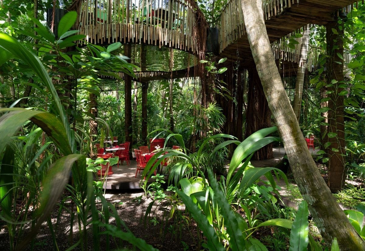 Nest at Niyama Private Islands Maldives